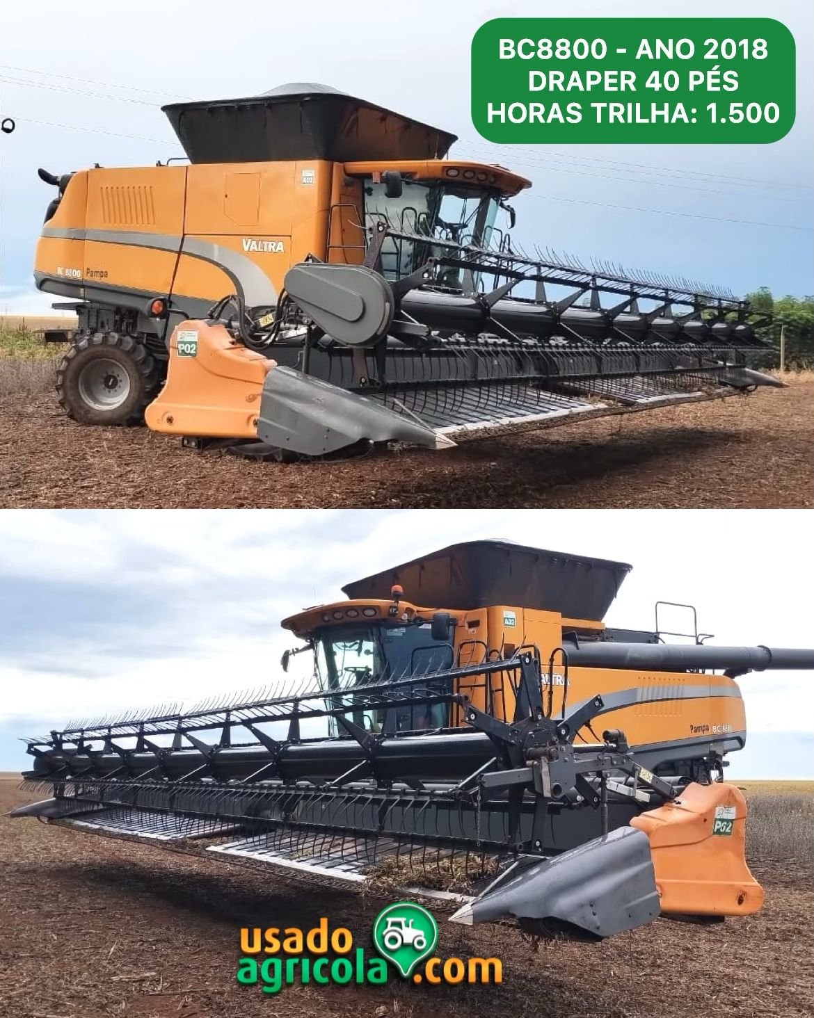 WhatsApp-Image-2024-01-17-at-06.50.02