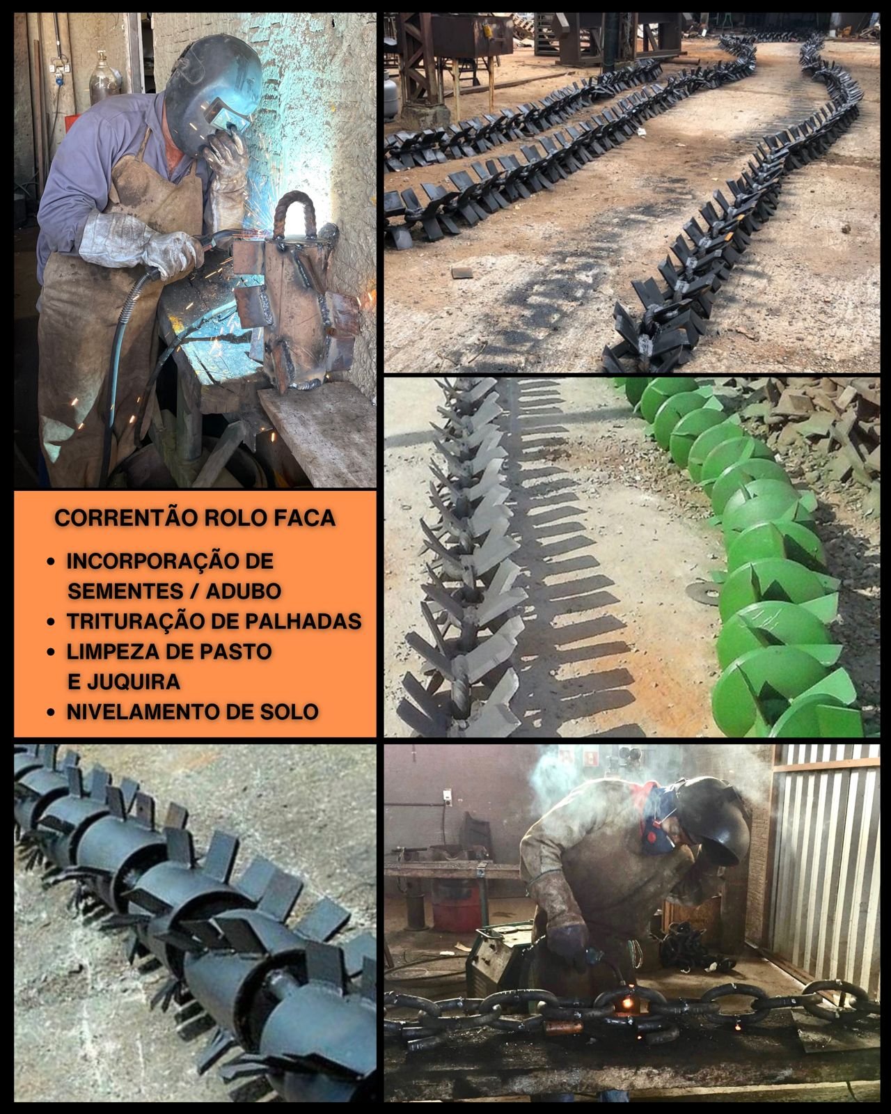 IMG-20231116-WA016017