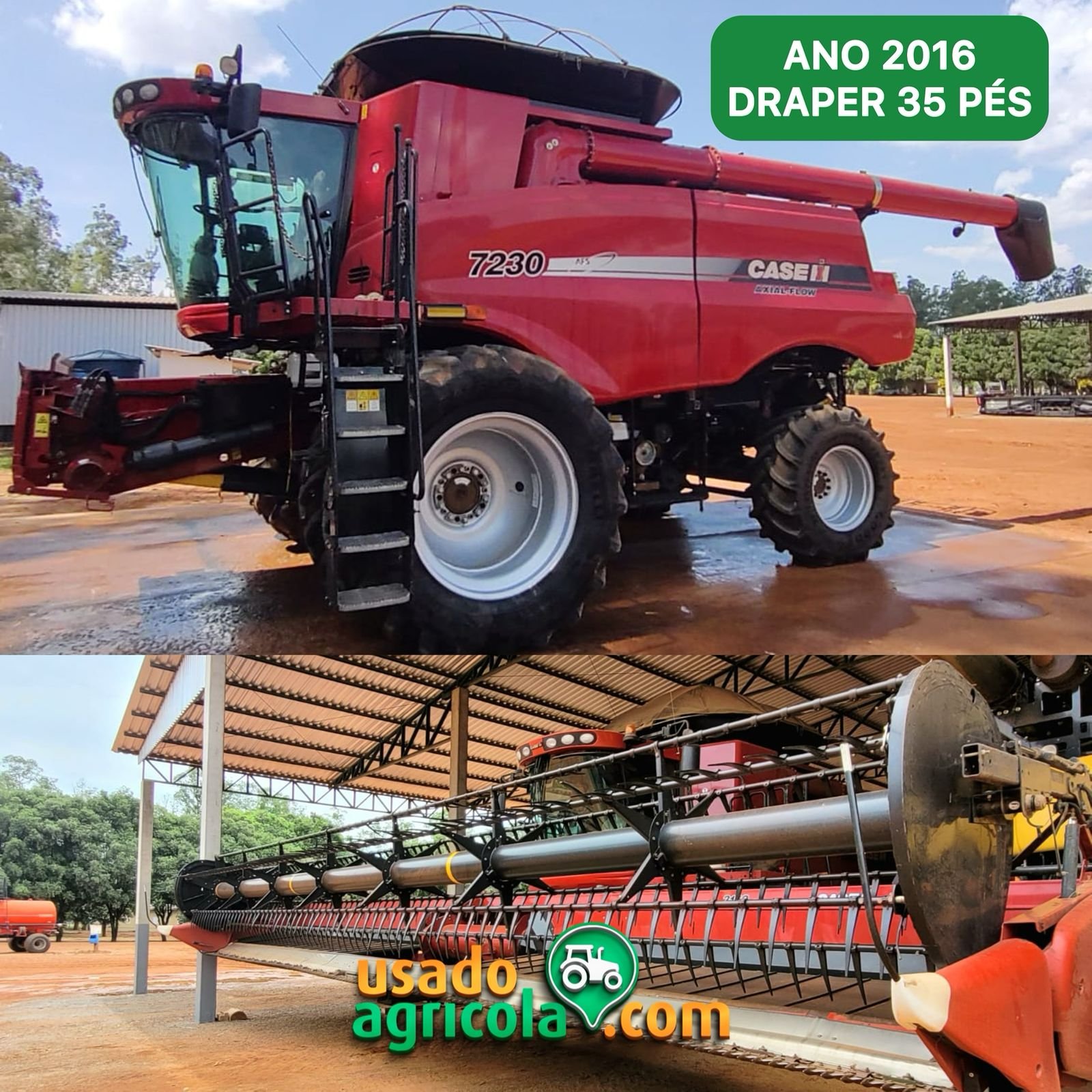 WhatsApp-Image-2024-02-07-at-14.35.44