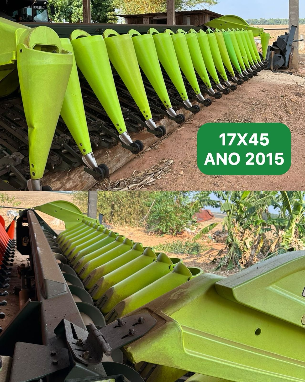 WhatsApp-Image-2024-02-07-at-18.34.57