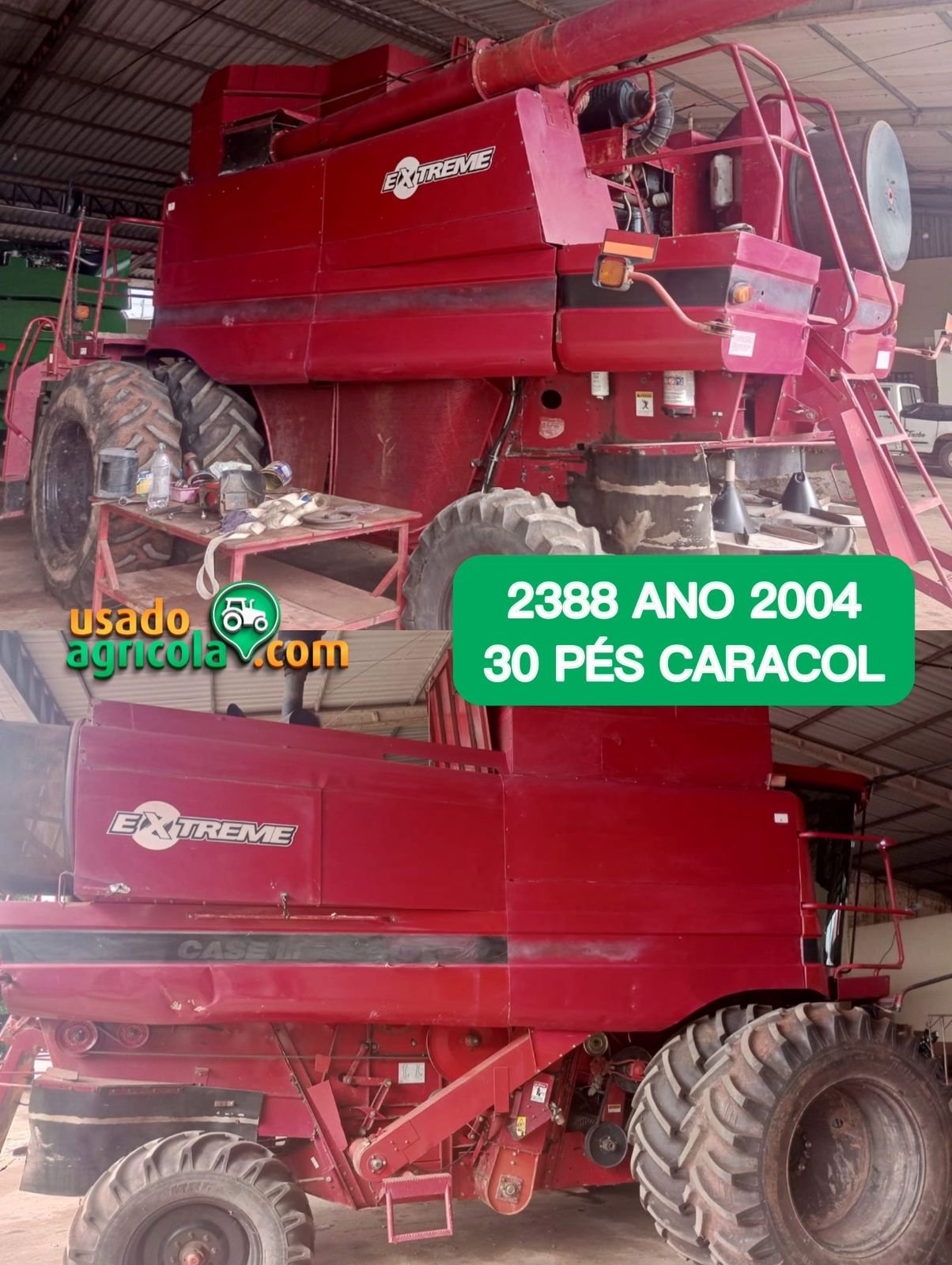 WhatsApp-Image-2024-02-08-at-08.20.36